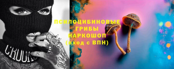 бошки Армянск