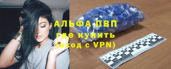 гашик Туринск
