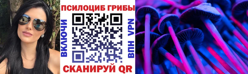 как найти закладки  Дыгулыбгей  Псилоцибиновые грибы GOLDEN TEACHER 